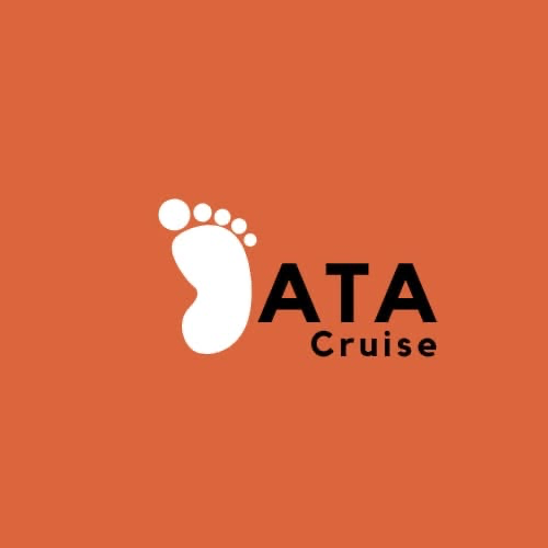DataCruise logo